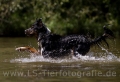 42 Wasseraction